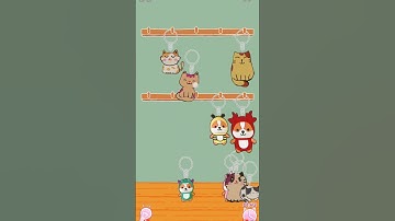 Perfect Tidy Level 53 #perfecttidy