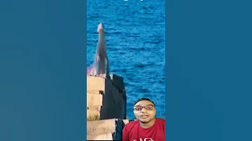 اول فيديو حقيقي عروسة البحر AMAZING FIRST REAL MERMAID Shorts 