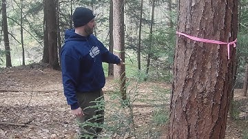 tree sampling along transect line terrestrial