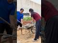 Làm hồ cá koi lót bạc