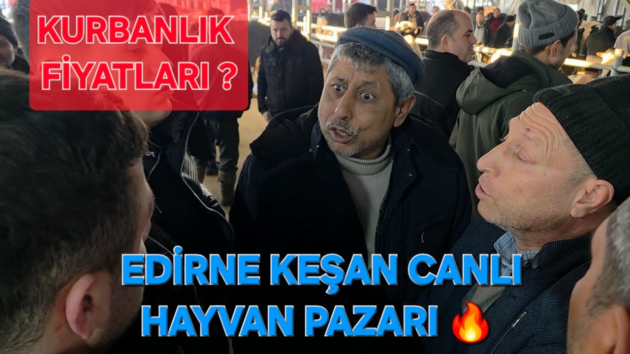 KEŞAN CANLI HAYVAN PAZARI GÜNCEL KURBANLIK FİYATLARI 🐂🐄🐃@EreninBesiçiftliği @muratsavcı0 
