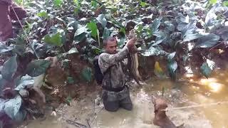 Trinidad Lappepaca Hunters