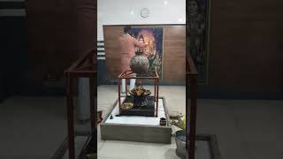 🙏 Aaj Ki Shiv Aarti | Bargadeshwar Mahadev Mandir Unnao | mata rani  | mahakaleshwar | 23-05-2026