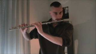 Miniatura del video "Naruto - Sadness and Sorrow - Flute Cover"