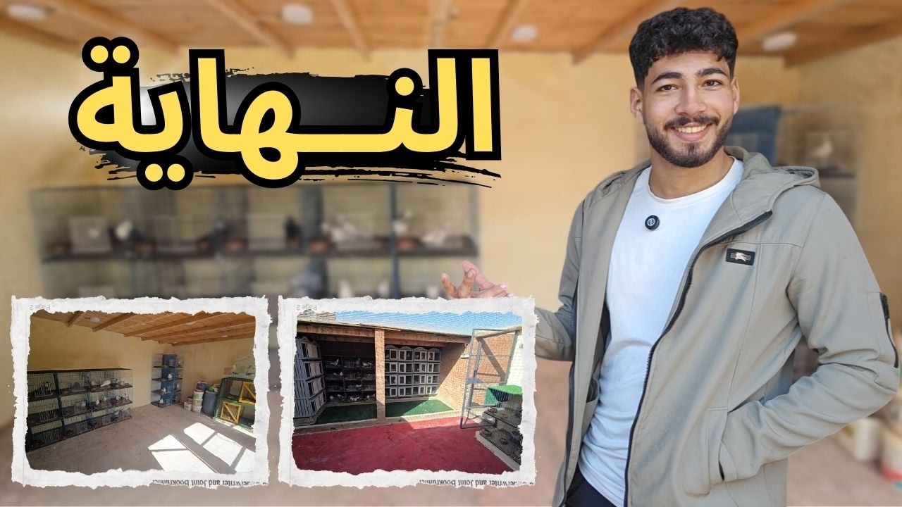 خلصت السلاكة الجديدة ونقلت الحمام فيها 🏠🕊 فرق رهيب في الشكل والراحة 😀👌