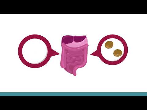 Biobank Heart - Animated Explainer