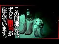 【心霊】ここにいた住民は口を揃えて「絶対に幽霊がいると答えた」一泊検証！！
