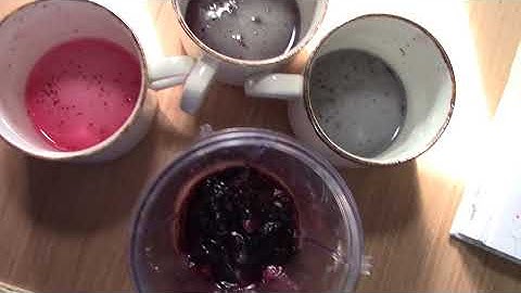 Making pH Indicator out of Blueberries