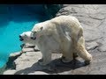 【実況】 逆に練習しかせずにプロになる Part4 【パワプロ2012決】