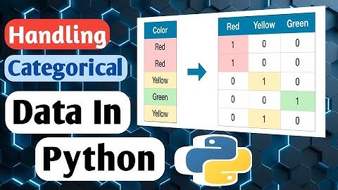 How To Handle Categorical Data In Python?- A Quick Guide