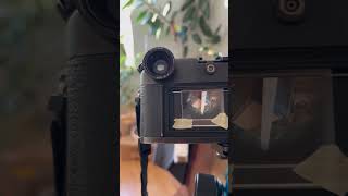 Leica M6 Classic - focusing check #leica #m6 #focusing #rangefinder #screen