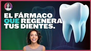 Dental Doentales Descubre El Fármaco Japonés Que Regenera Dientes Perdidos