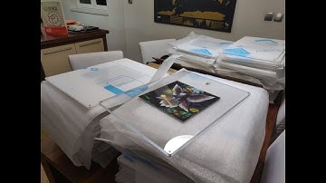 Kanaria Super Founder and Founder hard prints by SolidNFT!