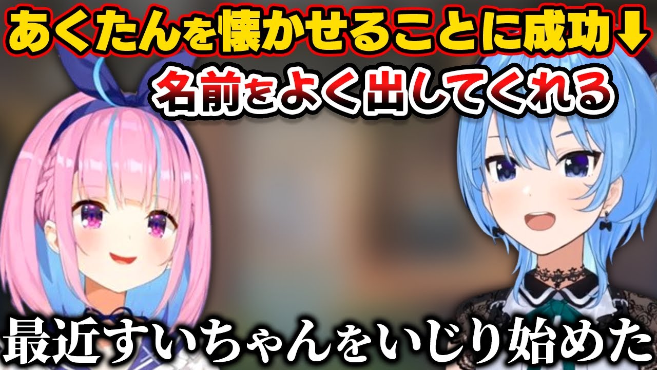 懐かない猫みたいだったあくたんが最近いじってくるほど懐いてきたと語るすいちゃん【ホロライブ切り抜き/星街すいせい/湊あくあ】