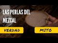 Si no hace perlas, No es mezcal, ¿Cierto o Falso?