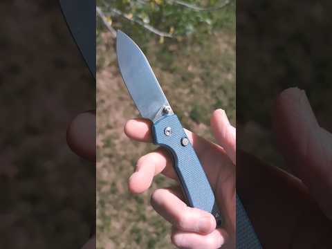 Blue Raccoon