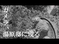湯原昌幸チャンネル#11歌:「一途人」