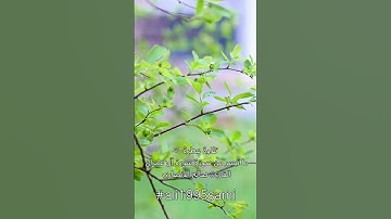 تلاوة عطرة ♡ ما تيسر من سورة آل عمران | القارئ: صالح الأنصاري