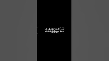 سورة الفجر [1-8] | محمود خليل الحصري