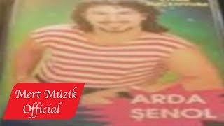 Arda Şenol - Kaytarma Resimi