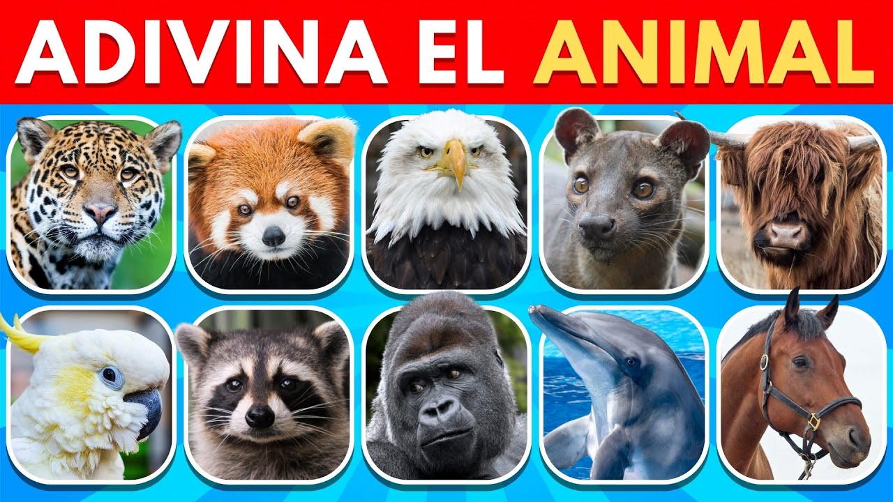 Adivina los Animales en 3 Segundos! 🐶🐱🦁 Quiz de Animales - YouTube