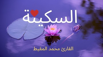 Surat Al-Mulk (The Sovereignty) - سورة الملك السورة المنجية من عذاب القبر | تلاوه خاشعه