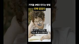 기억을 2배로 만드는 방법 진짜 있었다 #기억력 #기억력향상 #나는 #심리쇼츠 #심리실험 #인지과학 #공부법 #뇌과학