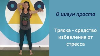 О цигун ПРОСТО. Тряска - одно из важнейших очищающих упражнений О цигун ПРОСТО. Тряска - одно из важнейших очищающих упражнений