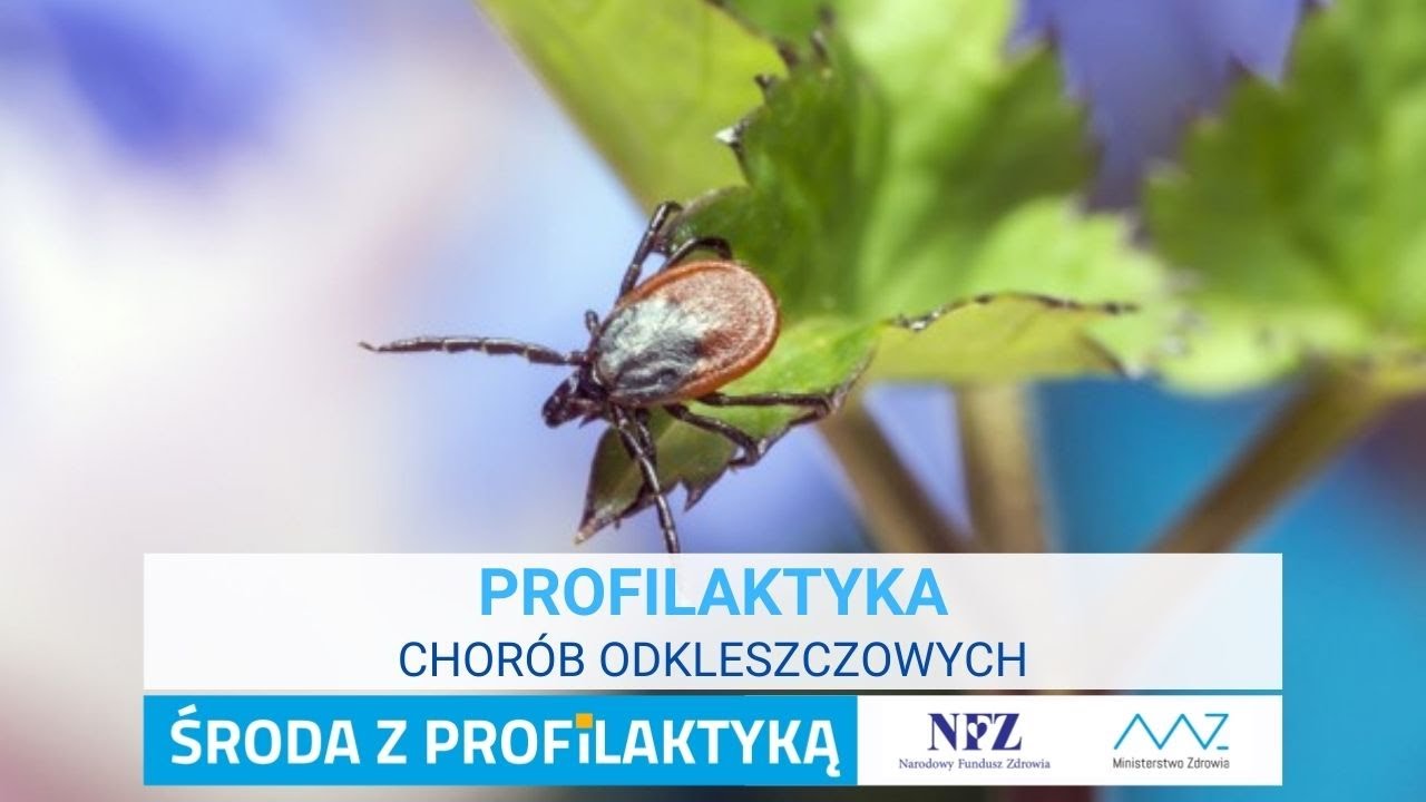 Profilaktyka chorób odkleszczowych