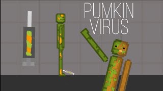 pumkin virus my concept (melon playground)