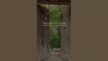 قرآن كريم راحة نفسية #قران_كريم #راحة_نفسية #ياسر_الدوسري