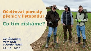 24.10. 2025 Pšenice Ozimá Ve 3.Listu Farma Bratrů Říhánků. Jiří Říhánek, Petr Král A Jarda Mach