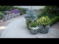 Planting Up Containers that Will Take You Through Winter! 