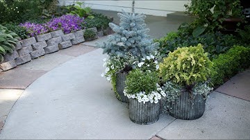 Planting Up Containers that Will Take You Through Winter! 🌿❄️// Garden Answer