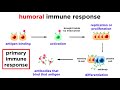 The Immune System: Innate Defenses and Adaptive Defenses