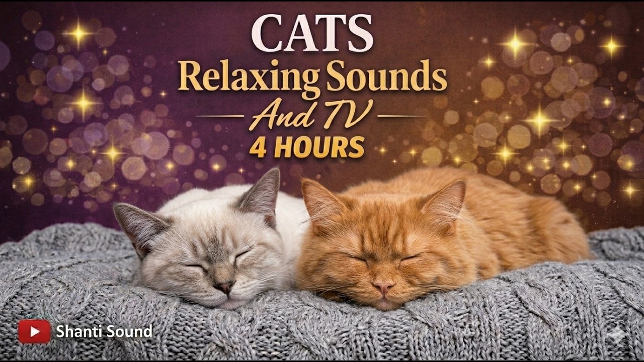 Curated visual reference: Visual Reference: 4 Hours Cats TV And Calming Music For Cats