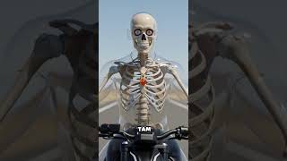 Hangi Kask Motosiklet Kazasında Seni Korur?