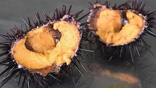 ウニの殻から身を取り出す方法 2017 by 種市南漁協