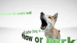 Submit a Clip - Your Pet Could Be a Star by Talking Animals 163,339 views 9 years ago 2 minutes, 58 seconds