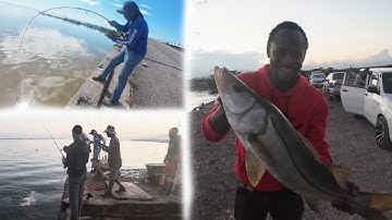 FIRST JOY/ The starboy is not the Actor