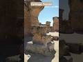 La cittá di Carthage!#tunisia #vlog #travelvlog #travelvideo #travel #ruin #vlogger #viaggi #life