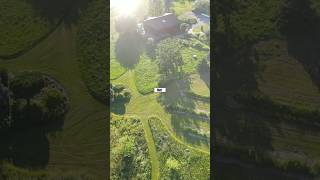 EDIBLE LANDSCAPING in a SMALL BACKYARD GARDEN