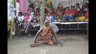 Jaranan Bramustia Basudewa Garudo Sempu Banyuwangi Kuda Lumping