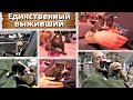 Единственный выживший. Новогодний подкидыш.