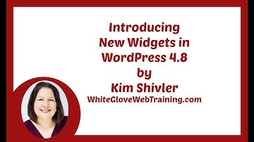 New Widgets in WordPress 4.8