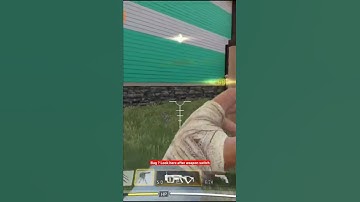 codm - bug after weapon switch