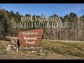 Hiking & Hammocking: Ouachita National Forest