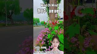 정서주#바람 바람아#Seoju Jeong#Wind Oh Wind#트로트신동#트로트샛별