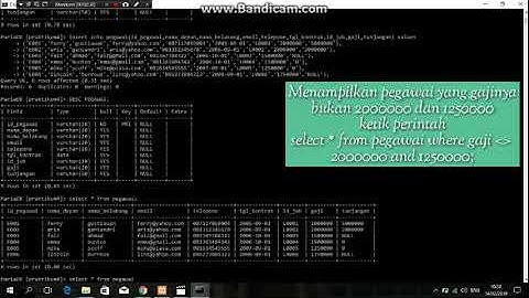Tutorial Mysql Fungsi Agregasi(Count,sum,average,min,max)