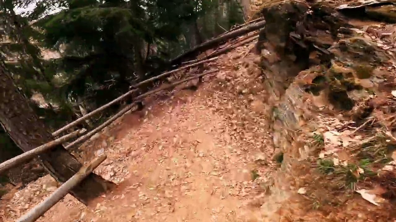 mtb aprica (piscè trail) #allmountain #enduro #mtb